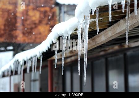 Glaçons pendant l'hiver depuis le toit Banque D'Images