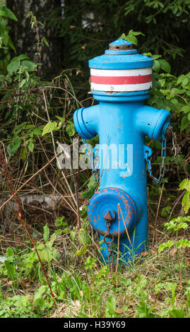 Ancien type de bleu metal fire hydrtant en espace vert Banque D'Images