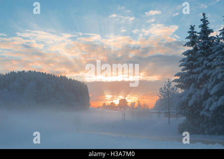 Matin d'hiver snowy rural paisible paysage avec brouillard sur la forêt enneigée et l'aube du soleil briser les rayons à travers les nuages Banque D'Images