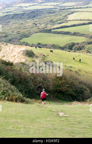 Dame Walker de la descente d'une colline sur le chemin côtier du sud-ouest entre Charmouth et Seatown, Dorset, UK. Banque D'Images