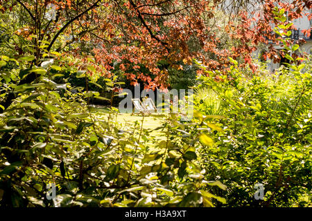 Une paire de chaises soleil visible à travers les buissons 6 Août 2016 Banque D'Images