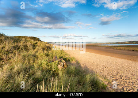 La plage de Braunton Burrows près de Barnstaple sur la côte du Devon Banque D'Images