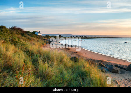 La plage de Crow Point à Braunton Burrows près de Barnstaple sur la côte du Devon Banque D'Images