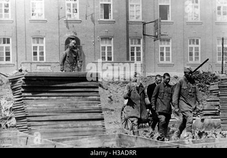 Les prisonniers de guerre soviétiques sur le front de l'Est, 1941 Banque D'Images