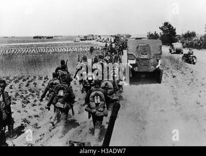 L'infanterie de la Wehrmacht gagne du terrain en Russie, 1941 Banque D'Images