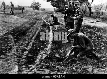 Pose de mines sur le front de l'Est, 1943 Banque D'Images