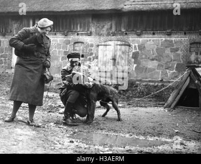 Les agriculteurs allemands de Volhynie avec chiens, 1939 Banque D'Images