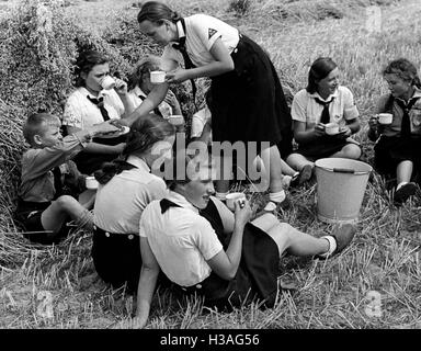 Landdienst jeunes pendant la récolte du grain, 1939 Banque D'Images