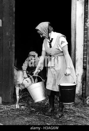 Fille BDM travaillant dans le hangar, 1940 Banque D'Images