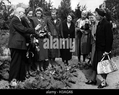 Les membres de la Ligue des femmes nationales-socialistes avec Otto Mehlan dans l'école de jardinage à Berlin-Wilmersdorf, 1942 Banque D'Images