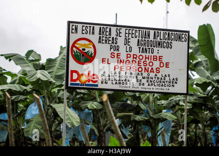 Visiter célèbre et très importante plantation de banane au Costa Rica, en fournissant leurs bananes dans le monde à l'échelle internationale. Dole, fruits, des affaires Banque D'Images