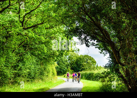 Groupe de femmes cyclistes sur lane près de Bretherton dans West Lancashire England UK Banque D'Images