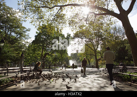 Les gens à pied à Washington Square Park, New York. Un homme inconnu rss pigeons comme le soleil se lève Banque D'Images