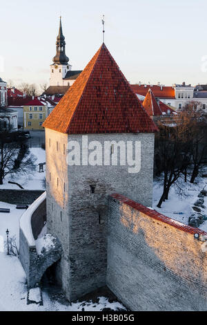 (Neitsi) Maiden's Tower à Tallinn Banque D'Images