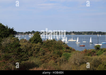 Vue sur le Golfe du Morbihan à partir de la Pointe du Trech, Ile aux Moines, Morbihan, Bretagne, France Banque D'Images