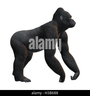 Le rendu 3D d'un gorille, un singe herbivore, isolé sur fond blanc Banque D'Images