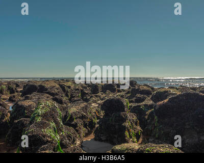 Soleil d'automne, ciel bleu, du sable, des algues, des rochers et des rigoles visibles à marée basse, près de la ville balnéaire de Exmouth, Devon. Banque D'Images