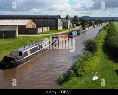 Bateaux amarrés le long de l'étroit du canal de Shropshire Union Banque D'Images