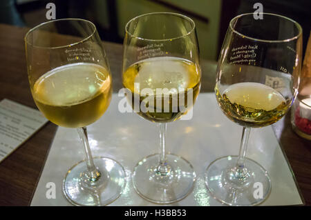 Trois verres de Riesling par Weingut Karl Schwaab, Ürzig, Moselle, Rheinland-Pfalz, Allemagne vol dégustation Banque D'Images