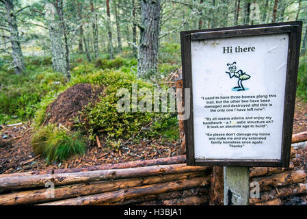 Panneau d'avertissement près de clôturé de fourmilière les fourmis des bois rouge / L'ant (Formica rufa) faite d'aiguilles de pin dans la forêt d'Abernethy, Ecosse Banque D'Images