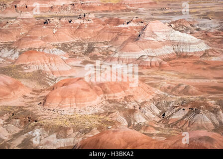 Terrain de blaids du désert peint dans le nord de l'Arizona. Banque D'Images