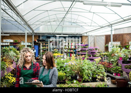 Deux femmes fleuristes using digital tablet Banque D'Images