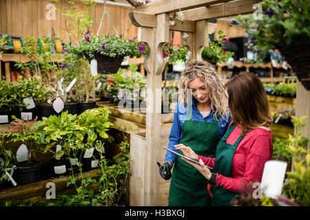 Deux femmes fleuristes using digital tablet Banque D'Images