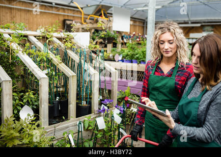 Deux femmes fleuristes using digital tablet Banque D'Images