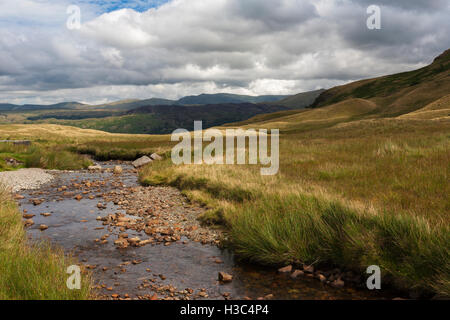 Peu d'Gatesgarthdale et Hause Gill à Borrowdale et Helvellyn vers, Lake District, Cumbria, Angleterre Banque D'Images