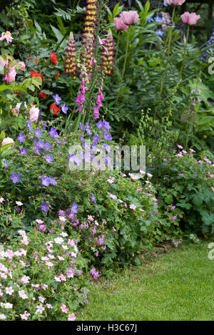 Frontière herbacées dans un jardin anglais. Banque D'Images