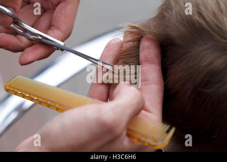 Beauté et Soins du corps, coiffure coupe de maître fait gros plan Banque D'Images