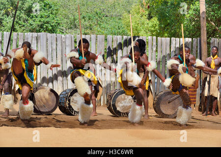 Troupe traditionnelle swazie chantant et dansant au village culturel de Mantenga swazi (Ligugu Lemaswati) Vallée d'Ezulwini, eSwatini (anciennement Swaziland) Banque D'Images