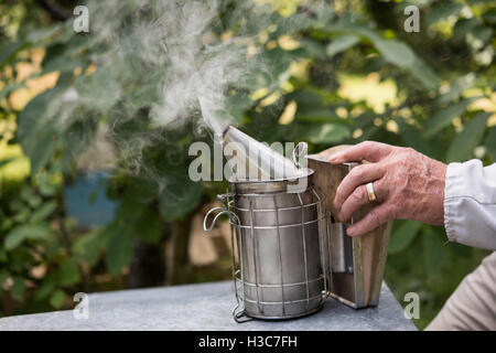 Les abeilles les apiculteurs fumeurs loin de ruche Banque D'Images