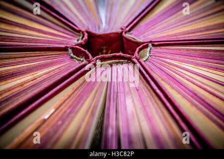 6 ancien et utilisé avec couverture magenta books ou livres de texte vu de dessus Banque D'Images