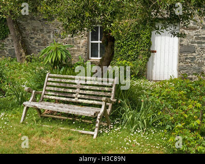 Vieux banc en bois siège recouvert de lichen en vertu de l'arbre, Colonsay House Gardens, à l'île de Colonsay, Ecosse, Royaume-Uni. Banque D'Images