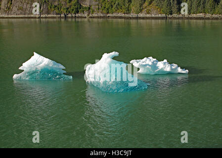 À partir de la glace des glaciers de l'Alaska a vêlé étincelant au soleil bleu Banque D'Images