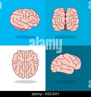 Cerveau humain et d'angles droit Illustration de Vecteur