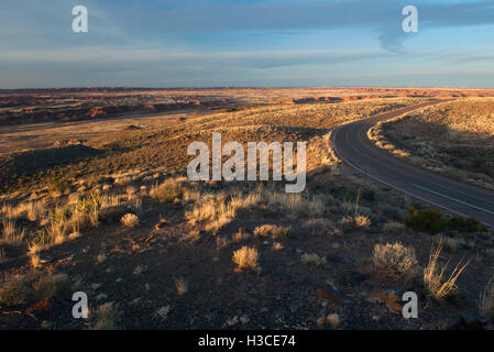 Route à travers des paysages désertiques de l'Arizona, USA Banque D'Images