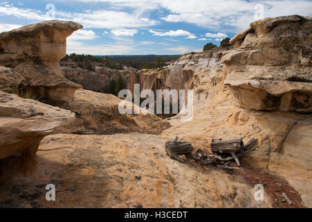 El Morro National Monument, New Mexico, USA Banque D'Images