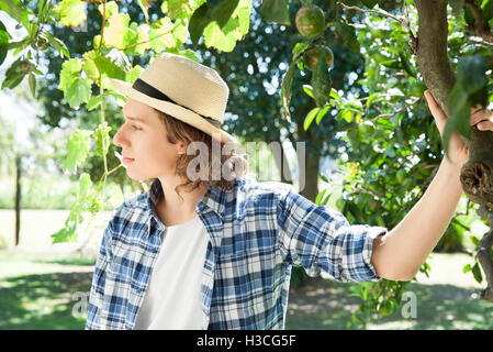 Jeune homme contemplant sous arbre dans vignoble, portrait Banque D'Images