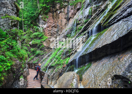 Les touristes à la recherche en cascade dans la gorge glees. Le parc national de Berchtesgaden. La Haute-bavière. L'Allemagne. Banque D'Images