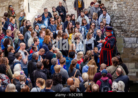 Un Beefeater (Yeoman de la Garde côtière canadienne) Une visite à la Tour de Londres, Londres, Angleterre Banque D'Images