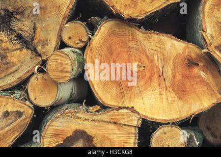 Pile de bois de chauffage de bouleau frais, morceaux, la photo en gros Banque D'Images