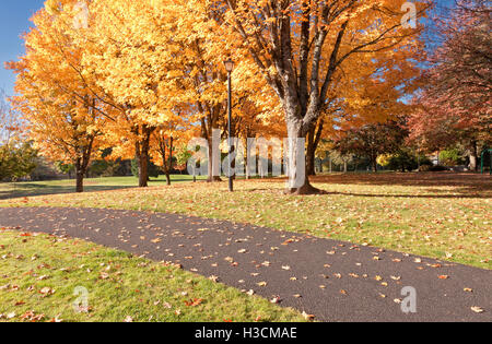 Couleurs d'Automne dans le parc public ou Gresham. Banque D'Images