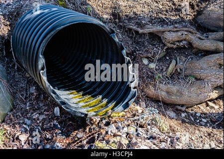 Grand tuyau de vidange en plastique noir ondulé de vidage du terrain parmi les roches et les racines des arbres. Banque D'Images