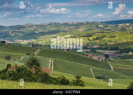 Vue sur la campagne des Langhe près de la Morra, Langhe, Province de Cuneo, Piémont, Italie. Banque D'Images