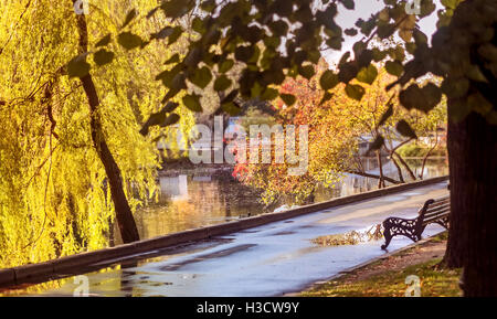 Grand parc ensoleillé matin en automne près de l'eau Banque D'Images