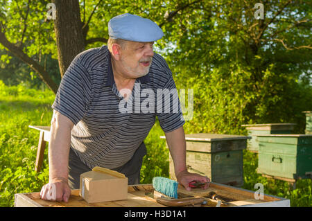 Portrait plein air de personnes âgées bee-keeper sur un rucher Banque D'Images