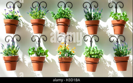 Arrière-plan de pots de fleurs, accroché au mur Banque D'Images
