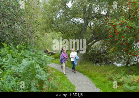 Une famille marche sur le chemin autour de Loch Kinord et Muir de Dinnet, réserve naturelle nationale près de Ballater Aberdeenshire Ecosse Banque D'Images